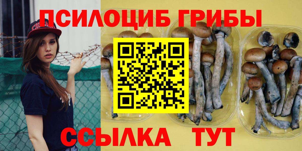 Галлюциногенные грибы MAGIC MUSHROOMS  Псилоцибиновые грибы ЛСД  Аша  Вход с VPN 