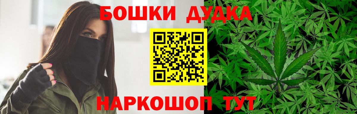 Бошки Шишки планчик Аша